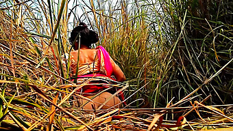 Indian Housewife Gets Outdoor Sex In The Field